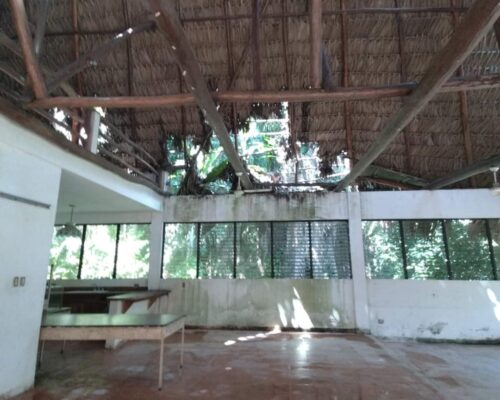 WhatsApp Image 2023-04-06 at 23.32.34 (3)